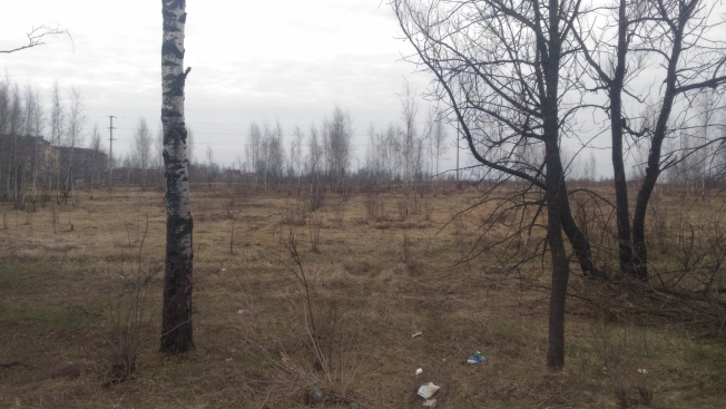 Купить земельный участок в Покрове. Вариант № 37370, 0, площадь -  квм, цена 3000000 рублей