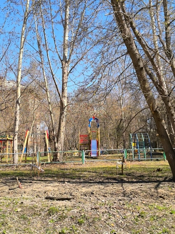 Купить однокомнатную квартиру в районе Калининский в Новосибирске. Вариант № 1299103, 23, площадь -  квм, цена 3990000 рублей