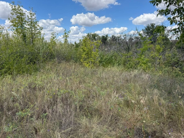 Купить земельный участок в Волгоградской области. Вариант № 570170, 0, площадь -  квм, цена 450000 рублей