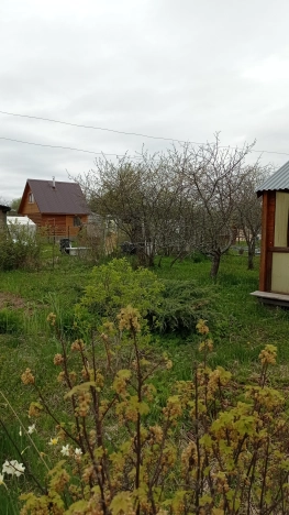 Купить дачу в Владимирской области. Вариант № 1588235, 11, площадь -  квм, цена 800000 рублей