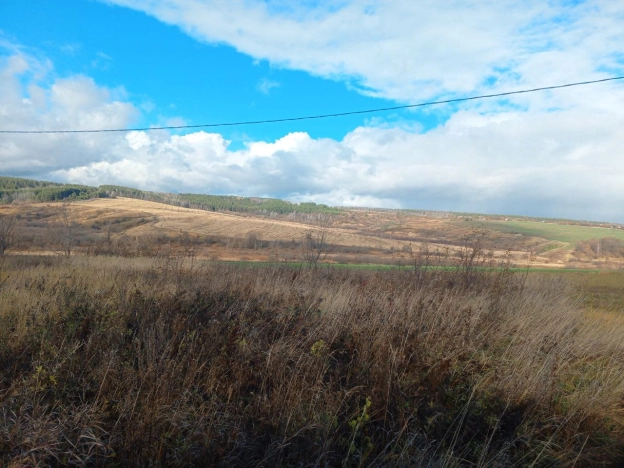 Купить земельный участок на улице 1 Мая в Нижегородской области. Вариант № 53278, 4, площадь -  квм, цена 2000000 рублей