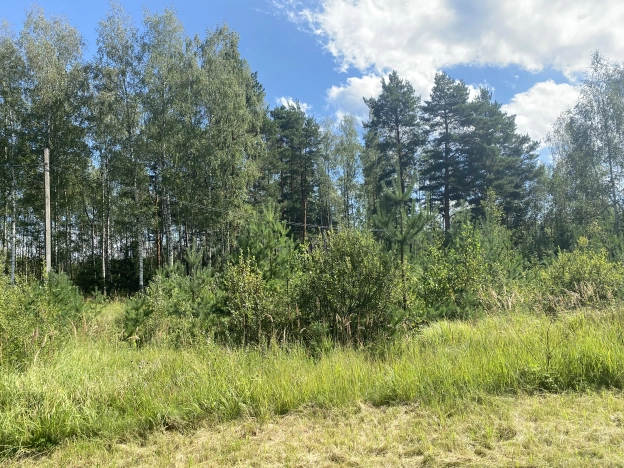 Купить земельный участок в Гусь-Хрустальном. Вариант № 2879, 4, площадь -  квм, цена 620000 рублей