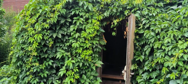 Купить дом в Калуге. Вариант № 10668, 10, площадь -  квм, цена 8500000 рублей