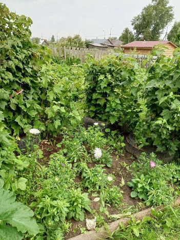 Купить дом на улице Георгия Маляревского в Тобольске. Вариант № 7724220, 10, площадь -  квм, цена 3600000 рублей