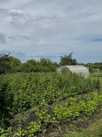 Купить дом в Воронеже. Вариант № 48242, 5, площадь -  квм, цена 1290000 рублей