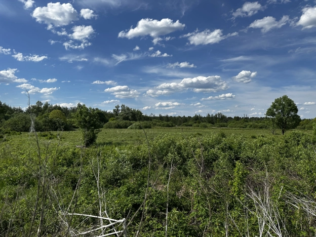 Купить земельный участок на улице 2-й проезд Добролюбова в Пензе. Вариант № 46987, 0, площадь -  квм, цена 890000 рублей