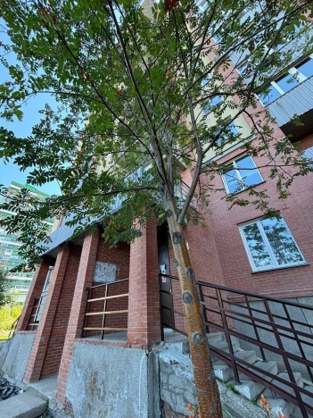 Купить трехкомнатную квартиру в Микрорайоне Золотая Нива в Новосибирске. Вариант № 1183637, 14, площадь -  квм, цена 10500000 рублей