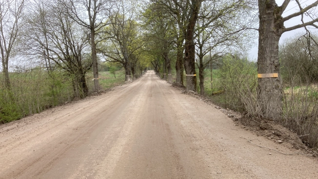 Купить земельный участок в Калининграде. Вариант № 7012, 4, площадь -  квм, цена 868600 рублей