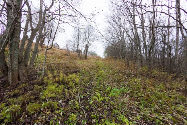 Купить земельный участок в Республике Карелия. Вариант № 14415, 15, площадь -  квм, цена 1000000 рублей