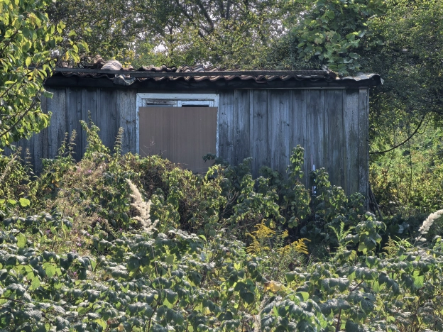 Купить земельный участок в Калининграде. Вариант № 13340, 4, площадь - квм, цена 2620000 рублей