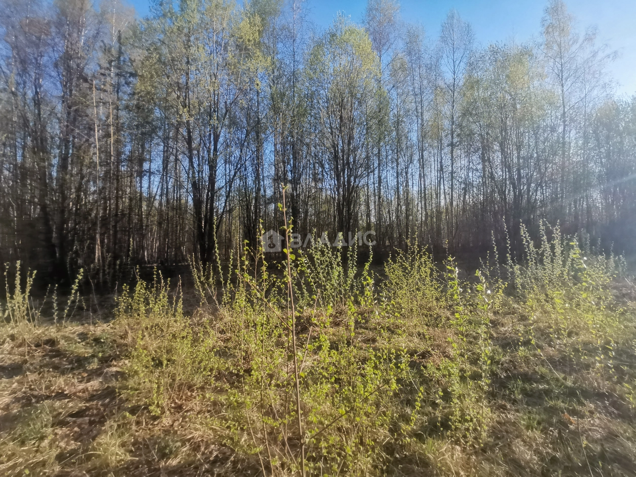 Photo https://36000382-a1c2-4a8a-a109-3fc3bfc73cf7.selcdn.net/App/Entity/ObjectRealty/ObjectRealty/SH/32fc4a2b-ede5-4ae5-912f-47d6f76d2948/qprkplmdsukJi5M057AGS3UsHKllYVfexQguid8s.jpg.compressed.webp