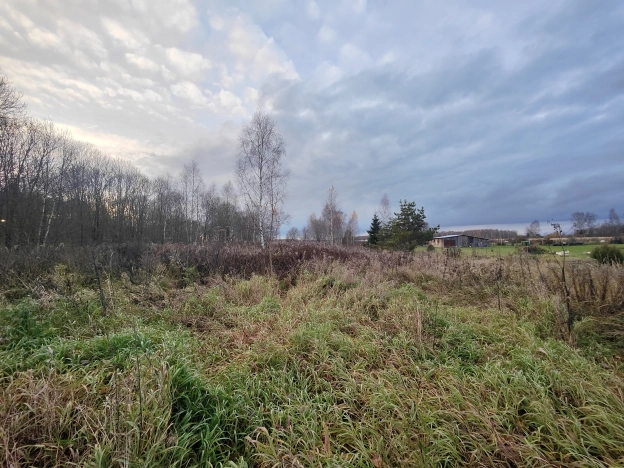 Купить земельный участок в Тульской области. Вариант № 8493413, 3, площадь -  квм, цена 1100000 рублей