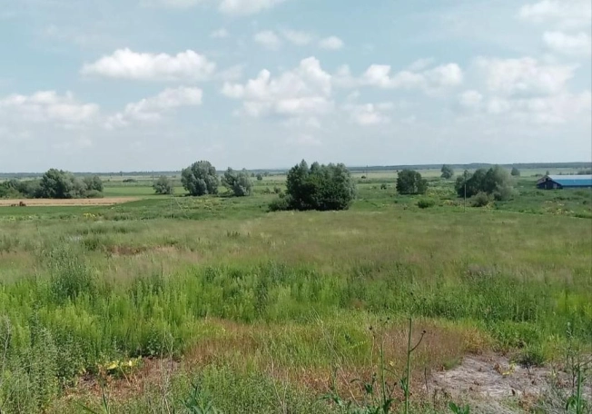 Купить земельный участок в Вязниках. Вариант № 8880, 8, площадь -  квм, цена 300000 рублей