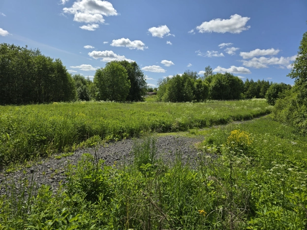 Купить земельный участок в Республике Карелия. Вариант № 21705, 4, площадь -  квм, цена 2000000 рублей