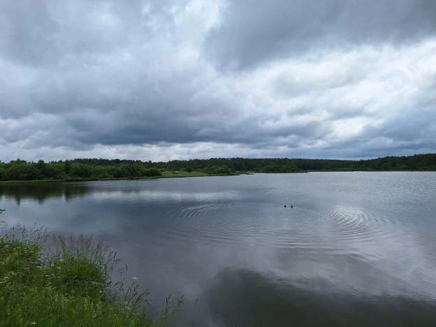 Купить земельный участок в Калуге. Вариант № 56597, 6, площадь -  квм, цена 850000 рублей