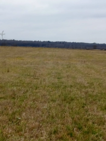 Купить земельный участок в Обнинске. Вариант № 9437462, 11, площадь -  квм, цена 1100000 рублей