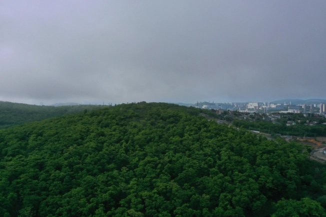 Купить двухкомнатную квартиру в новостройках на улице Весенняя в Приморском крае. Вариант № 4136924, 3, площадь - квм, цена 10592700 рублей