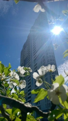 Купить квартиру в районе Хорошёво-Мнёвники в Москве. Вариант № 61311, 16, площадь - квм, цена 27900000.0000 рублей