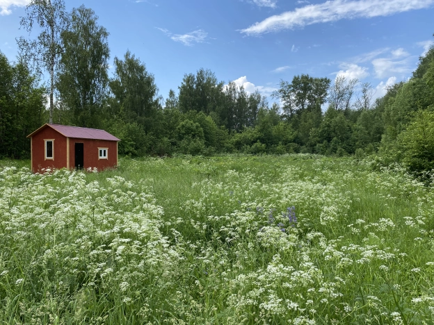 Купить земельный участок в районе Заволжье-2 в Ярославской области. Вариант № 1150144, 1, площадь -  квм, цена 1300000 рублей