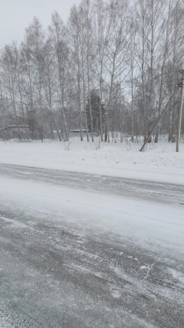 Купить земельный участок в Новосибирске. Вариант № 10049839, 4, площадь -  квм, цена 580000 рублей