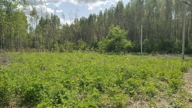 Купить земельный участок на улице 3-я Сорокинская в Владимире. Вариант № 48194, 7, площадь -  квм, цена 1100000 рублей