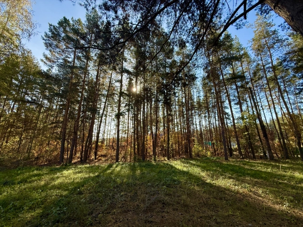 Купить земельный участок в Пензе. Вариант № 6715172, 8, площадь -  квм, цена 3100000 рублей