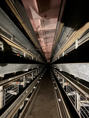 Купить земельный участок в Искитиме. Вариант № 37354, 32, площадь -  квм, цена 330000000 рублей