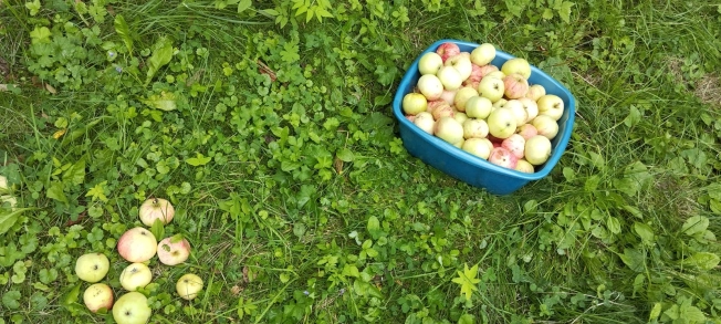 Купить дом на улице Кирова в Нижегородской области. Вариант № 58060, 23, площадь -  квм, цена 990000 рублей