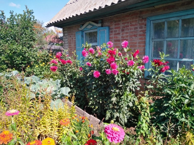 Купить дачу в Алтайском крае. Вариант № 36526, 4, площадь -  квм, цена 220000 рублей