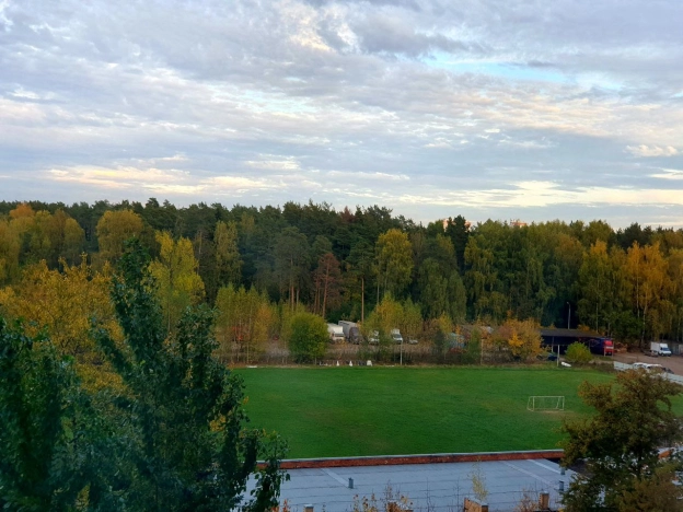 Купить однокомнатную квартиру на улице Северный проезд в Балашихе. Вариант № 6914654, 20, площадь -  квм, цена 7990000 рублей