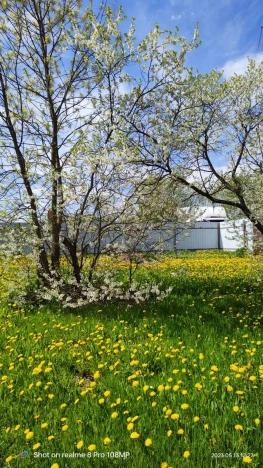 Купить земельный участок в Владимире. Вариант № 2363, 8, площадь -  квм, цена 970000 рублей