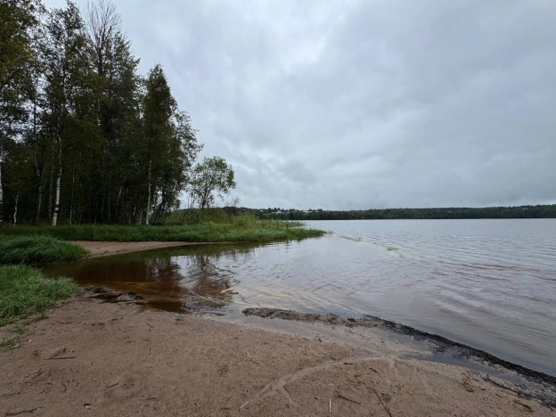 Купить земельный участок в Ленинградской области. Вариант № 7653326, 11, площадь -  квм, цена 3836000 рублей