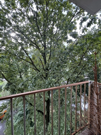 Купить двухкомнатную квартиру на улице Юрия Гагарина в Калининграде. Вариант № 2839478, 21, площадь -  квм, цена 12350000 рублей