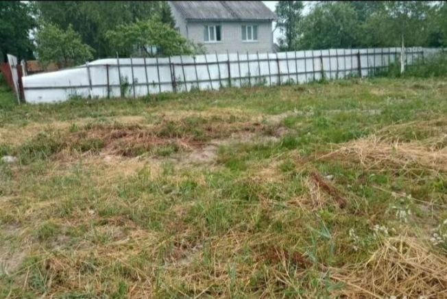 Купить земельный участок в Новгородской области. Вариант № 60966, 5, площадь -  квм, цена 1500000 рублей