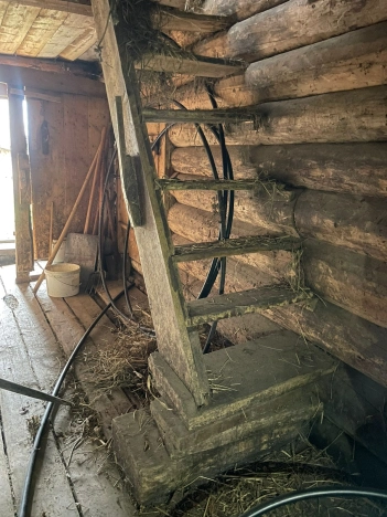 Купить дом на улице Ползунова в Йошкар-Оле. Вариант № 55797, 14, площадь -  квм, цена 3888888 рублей