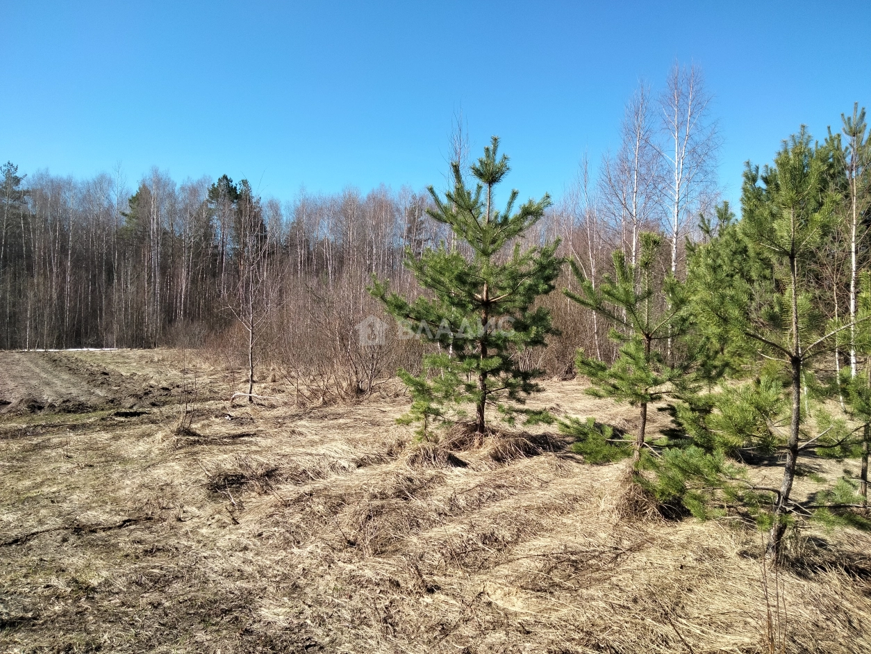 Photo https://36000382-a1c2-4a8a-a109-3fc3bfc73cf7.selcdn.net/App/Entity/ObjectRealty/ObjectRealty/SN/48a13c70-0558-4a1a-ae8e-86e39f1b7b61/bcbg7gAW3CK6mdIAREWNn1bh82BPX15o55nOm69n.jpg.compressed.webp
