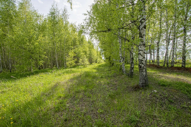 Купить земельный участок на улице Овражная в Нижегородской области. Вариант № 43313, 15, площадь -  квм, цена 700000 рублей