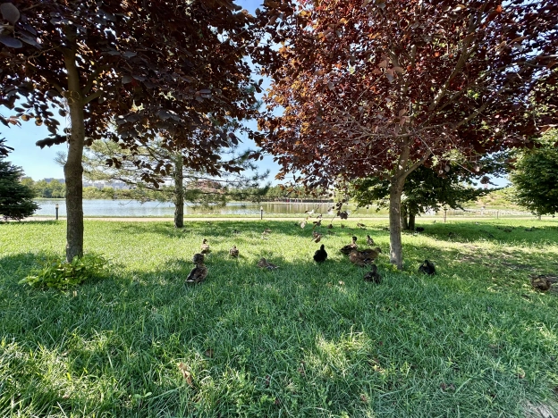 Купить однокомнатную квартиру на улице Героев-Разведчиков в Краснодаре. Вариант № 3410393, 24, площадь -  квм, цена 5899000 рублей