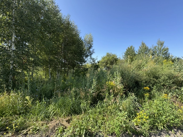 . Вариант № 1165308, 25, площадь -  квм, цена 2000000 рублей