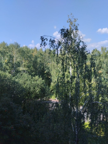 Купить квартиру в Вязниках. Вариант № 12505, 36, площадь -  квм, цена 2150000 рублей