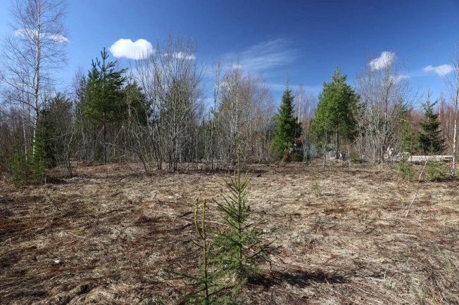 Купить земельный участок в Санкт-Петербурге. Вариант № 2130625, 10, площадь -  квм, цена 2190000 рублей
