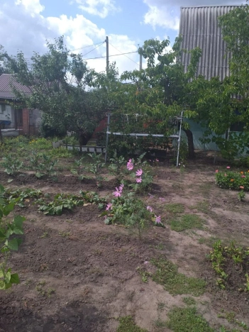 Купить дачу в Белгородской области. Вариант № 8943870, 19, площадь -  квм, цена 1000000 рублей