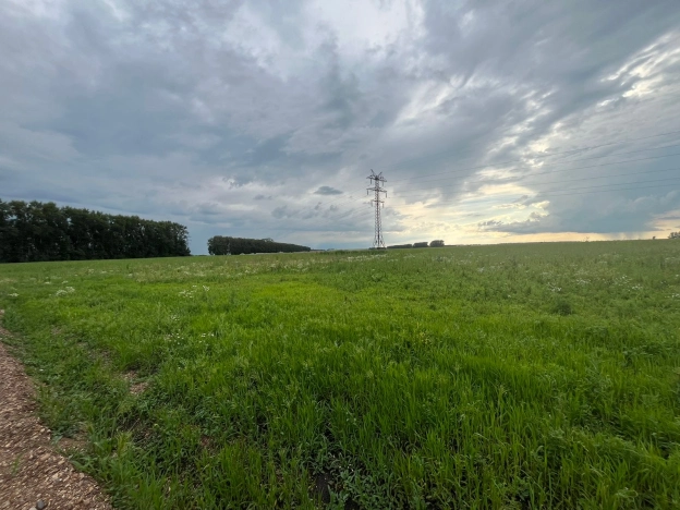 Купить земельный участок в Стерлитамаке. Вариант № 6879, 0, площадь -  квм, цена 3900000 рублей