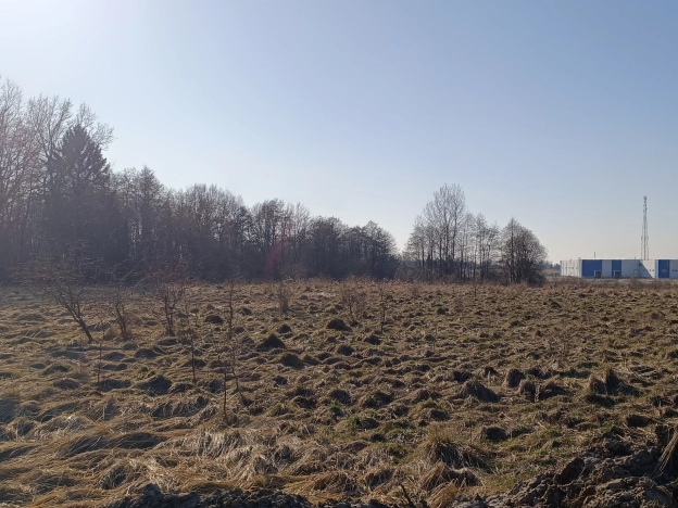 Купить земельный участок на улице Озерная в Калининградской области. Вариант № 38968, 4, площадь -  квм, цена 450000 рублей