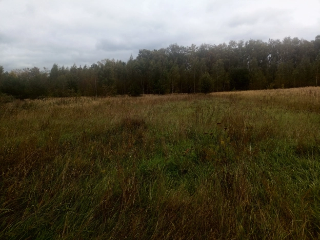 Купить земельный участок в Коломне. Вариант № 5423866, 0, площадь -  квм, цена 600000 рублей