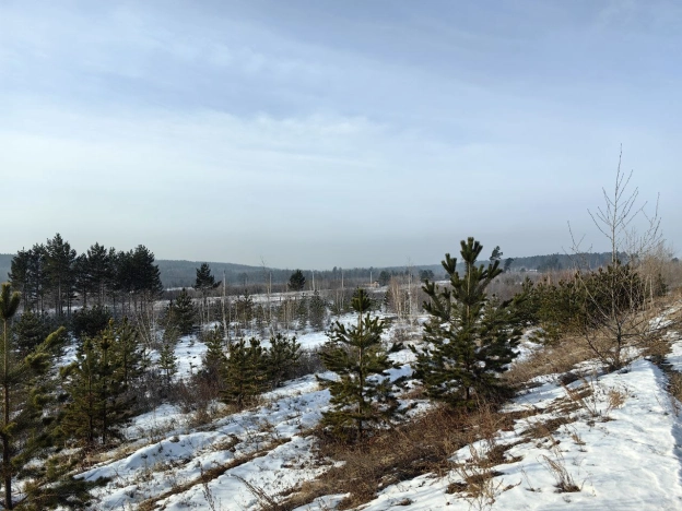 Купить земельный участок в Чите. Вариант № 10194301, 1, площадь -  квм, цена 6000000 рублей