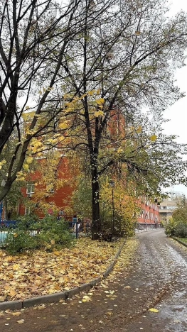 Купить квартиру в Москве. Вариант № 8305871, 30, площадь -  квм, цена 34998000 рублей