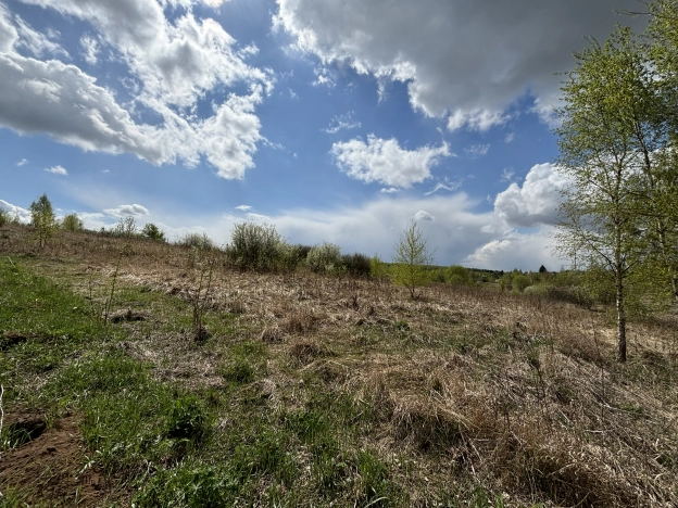 Купить земельный участок в Тульской области. Вариант № 28122, 6, площадь -  квм, цена 240000 рублей