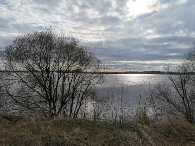 Купить земельный участок в Коломне. Вариант № 51764, 0, площадь -  квм, цена 780000 рублей