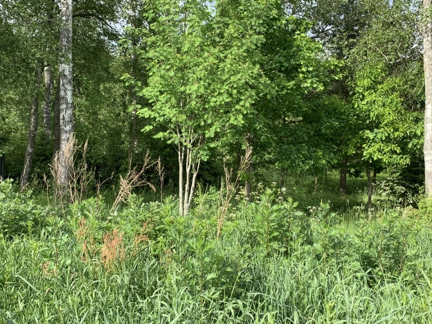 Купить земельный участок в Сергиеве Посаде. Вариант № 13056, 10, площадь -  квм, цена 2800000 рублей